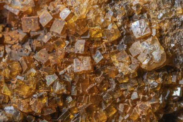 Bright, square crystals are visible on a piece of rock. The light underlines their structure and color. This mineral formation is fascinating and fascinating