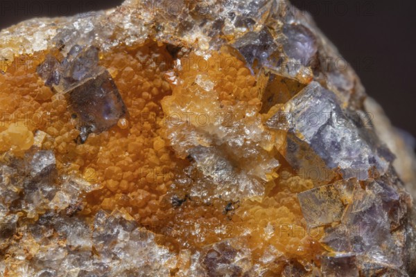 Shiny crystals of blue and orange color can be seen in this mineral formation. They are sparkling and show interesting textures in a natural setting