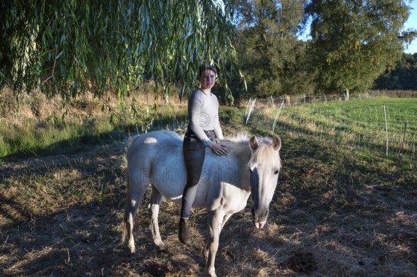 Young girl sitting on her white mare under a willow (Salix), Othenstorf, Mecklenburg-Western Pomerania, Germany