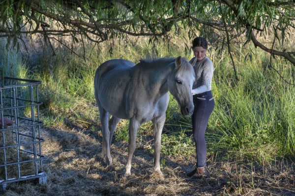 Young girl with her horse in the pasture, Othenstorf, Mecklenburg-Vorpommern, Germany