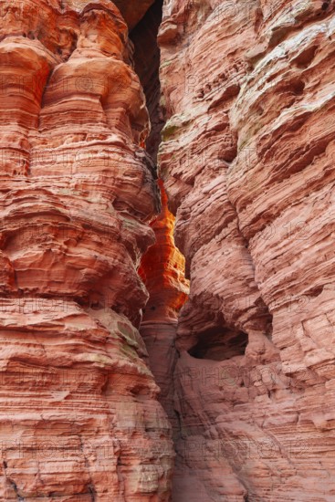 Evening rock glowing in spring at Altschloßfelsen in Eppenbrunn Palatinate, Germany