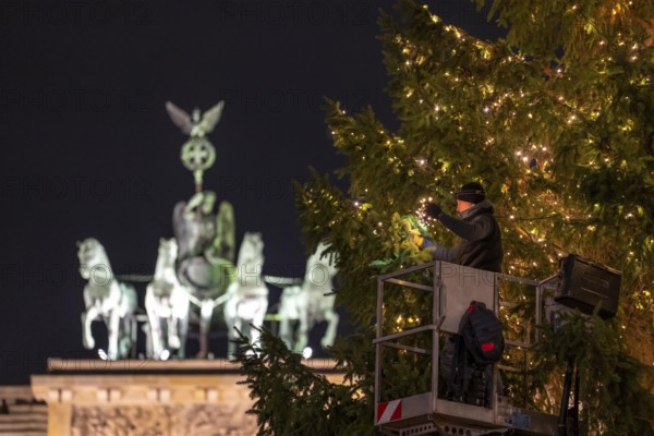 The big Christmas tree in front of the Brandenburg Gate, on Pariser Platz, is decorated with fairy lights, Berlin, Germany