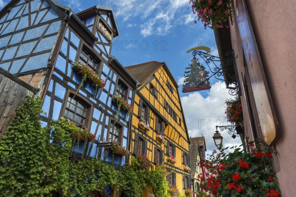 Decorated half-timbered houses in the historic old town of Riquewihr, Ellsass