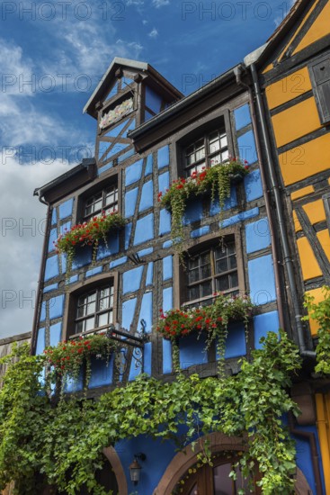 Decorated timber-frame house in the historic old town of Riquewihr, Ellsass