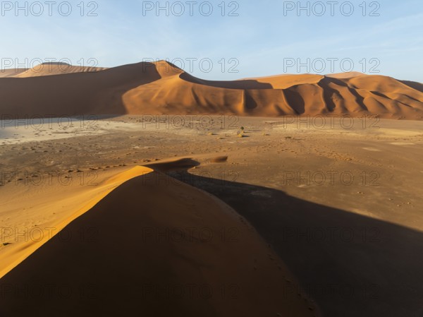 Aerial view of sand dunes in the Namib Desert, Namib Naukluft Park, Namibia