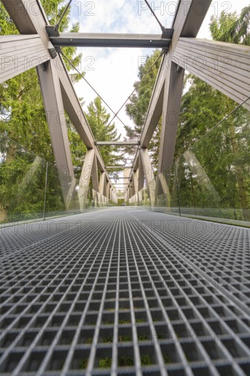 Architecturally impressive metal and wood bridge with glass railing against a wooded background, Ruhestein National Park Center, Black Forest, Baiersbronn, Germany
