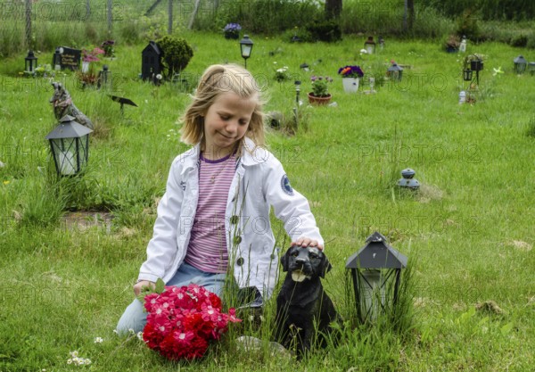 Grieving blonde 7-year-old girl at her dog's grave at pet cemetery in Ystad, Skåne County, Sweden, Scandinavia