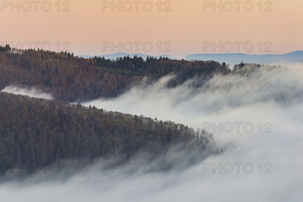 View from the Gisliflue of the Jura foothills covered in fog, in the light of dawn, Talheim, Canton, Aargau, Switzerland