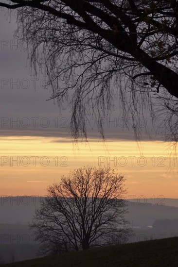Landscape on an evening in autumn, November, Germany