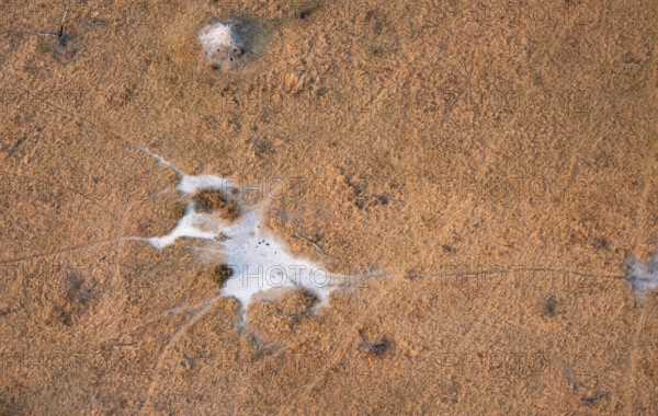 Paths, trails in the countryside, animal trails Aerial view of the Okavango Delta, near Maun, Okavango Delta, Botswana