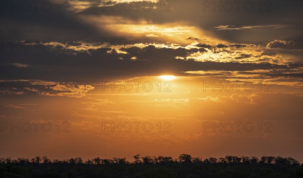 Impressive sunset over the African savanna, silhouette of the horizon with trees in front of the sun, at Halali waterhole, Etosha National Park, Namibia