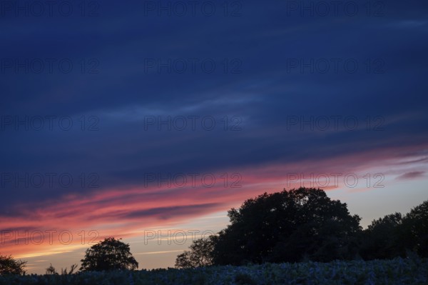 Red blue evening sky, Othenstorf, Mecklenburg-Western Pomerania, Germany