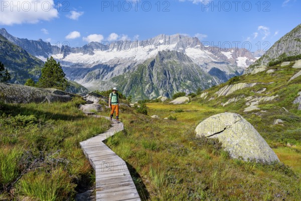 Mountaineers on wooden plank trail through mountain moor, in front of picturesque mountain scenery, Dammastock and Damma glaciers, Göscheneralp, Canton of Uri, Switzerland