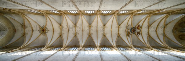 Interior photo, vaulted ceiling, church ceiling, central nave, interior view, Cathedral of Our Lady in Ulm, Ulm Münster, Ulm, Baden-Württemberg, Germany