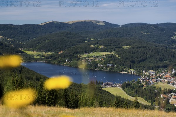Titisee, Black Forest, Southern Black Forest, Baden-Württemberg, Germany