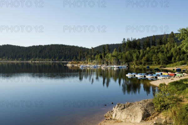 Morning atmosphere with colorful paddle boats and rowing boats, Schluchsee, Black Forest, Southern Black Forest, Baden-Württemberg, Germany