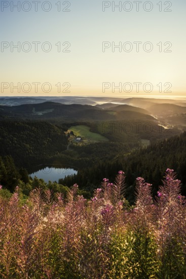 View from Feldberg to Feldsee looking east, sunrise, Black Forest, Southern Black Forest, Baden-Württemberg, Germany