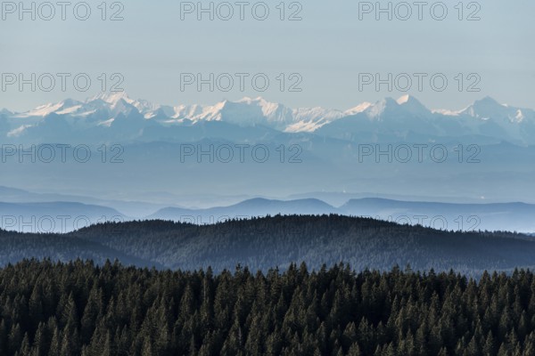 View of the Swiss Alps from Feldberg, Black Forest, Southern Black Forest, Baden-Württemberg, Germany