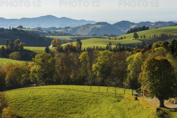 Hilly landscape in autumn, St Märgen, Black Forest, Southern Black Forest, Baden-Württemberg, Germany