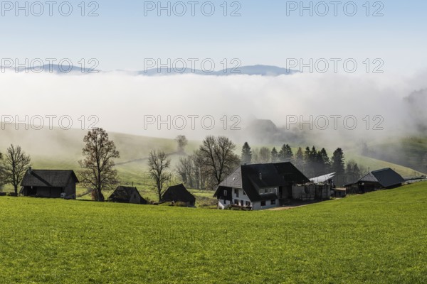 Fog and sun in autumn, St Peter, Black Forest, Southern Black Forest, Baden-Württemberg, Germany