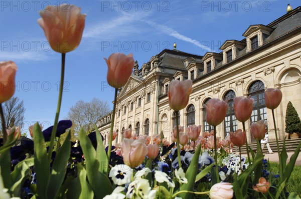 Castle Park, Fulda City Palace, Hesse, Germany