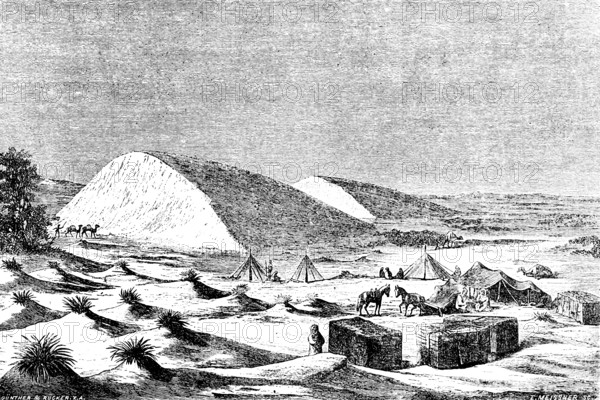 Hiking dunes in the Sahara, Central Africa, tent camp, sandy desert, erg, dry desert, tropical climate, camels, horses, people, plants, expanse, travel picture, historical illustration around 1900