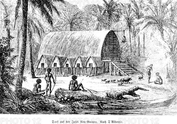 Village on the island of New Guinea, Papua, Pacific Ocean, tropical forest, tropical climate, village community house, thatched roof, round roof, ladder, indigenous people, canoe on the shore, palm trees, coconut, pigs, piglets, travel picture, historical illustration around 1900