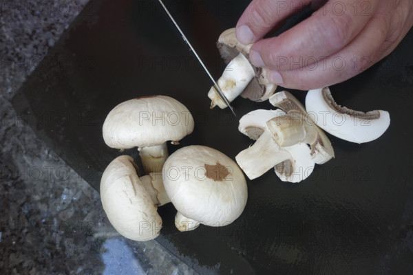 Southern German cuisine, preparing mushrooms, raw mushrooms, cutting, kitchen knife, men's hands, cutting board, vegetarian, vegan, healthy, food photography, studio, Germany