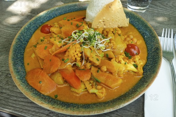Asian cuisine, mixed vegetables, carrots, cauliflower, bamboo, cherry tomatoes, curry sauce, sprouts, vegan, vegetarian, healthy, main dish served on plate, food photography, Germany