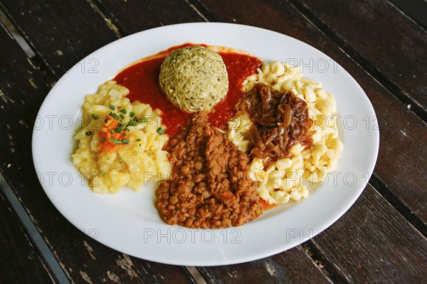 Swabian cuisine, potato salad with flavored onions, spätzle, knöpfle, dumplings with tomato sauce, vegetarian, plate, main course served on plate, grandmother's cuisine, regional, home cooking, typical Swabian, traditional cuisine, food photography, Germany