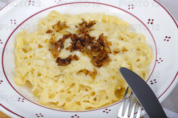 Swabian cuisine, cheese spaetzle, Swabian spaetzle baked with cheese, onion melt, hand-scraped spaetzle, served on plate, Swabian classic, typical Swabian, traditional cuisine, grandma's kitchen, pastry, vegetarian, food photography, studio, Germany