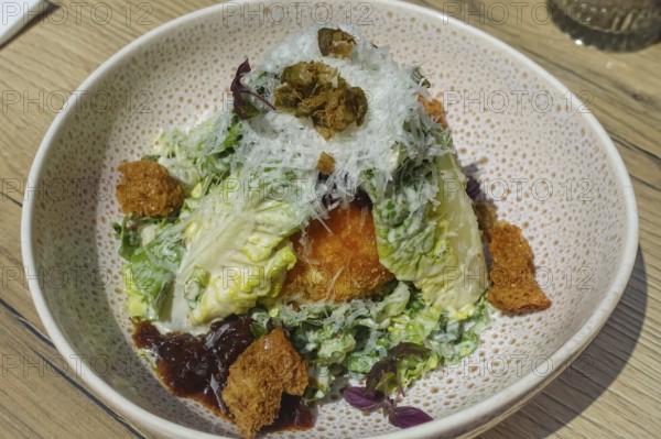 Baked burrata served on plate, breaded mozzarella, starter, vegetarian, salad hearts, green lettuce leaves, kumquat, marmalade, grated celery, breadcrumbs, restaurant 1821 Tübingen, restaurant, food photography, Tübingen, Baden-Württemberg, Germany