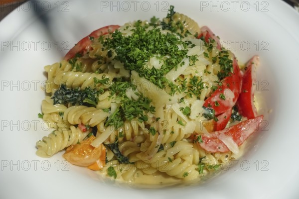Spiral noodles, fusilli, noodle dish of the day, spinach, cherry tomatoes, cocktail tomatoes, vine tomatoes, herbs, cheese, vegetarian, cream sauce, pasta, food photography, Caro's restaurant, restaurant, Tübingen, Baden-Württemberg, Germany