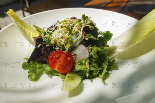 Small colorful salad, starter salad, sprouts, tomatoes, sunflower seeds, chicory, radishes, cucumber slices, mixed salad, vegetarian, vegan, healthy, food photography, plate, Caro's restaurant, restaurant, Tübingen, Baden-Württemberg, Germany