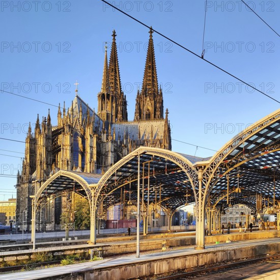 Central station with platform roof and cathedral early in the morning, Cologne, Rhineland, North Rhine-Westphalia, Germany