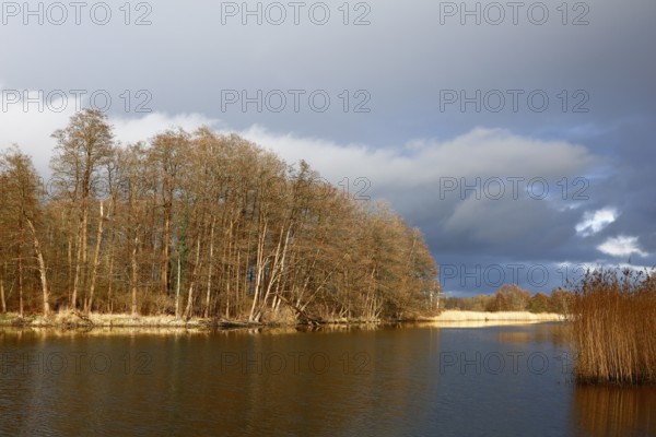 Spring atmosphere with cloudy skies and sunshine over a quiet river, Peenetal nature park Park, Mecklenburg-Western Pomerania, Germany