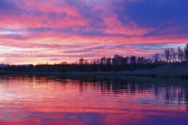 Colourful sunset with pink sky and trees reflecting in calm water, Peenetal nature park Park, Mecklenburg-Western Pomerania, Germany