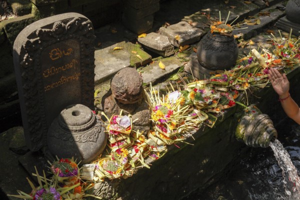 Sacrificial basket (canang) at Tirta Empul hot springs, Bali, Indonesia