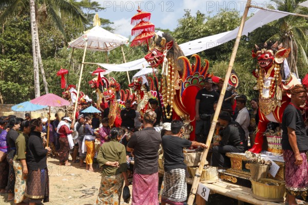Preparing for a corpse cremation, (Ngaben), Ubud, Bali, Indonesia