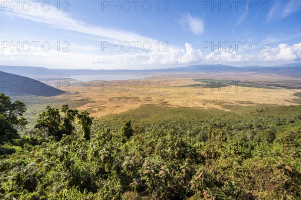 View of Ngorongoro Crater, Crater Viewpoint, Forest and Savanna Landscape, Ngorongoro Conservation Area, Tanzania