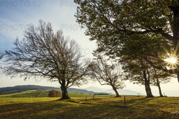 Weather forecast in autumn, sunset, Schauinsland, Freiburg im Breisgau, Black Forest, Baden-Württemberg, Germany