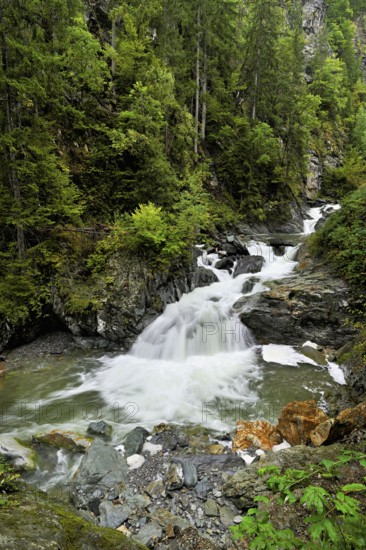 Diosaz mountain river in the gorge, Gorges de la Diosaz, Les Houches, Chamonix-Mont-Blanc, Haute-Savoie, France