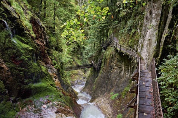 Wooden walkway in the Durnand Gorge, Les Valettes, Canton of Valais, Switzerland