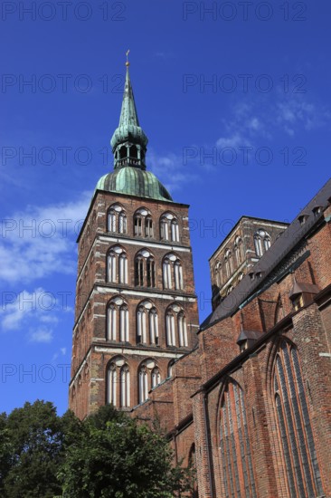 St. Nicholas Church, also St. Nicholas Church, in the urban area of Altstadt, Stralsund, Vorpommern-Rügen district, Mecklenburg-Western Pomerania, Germany