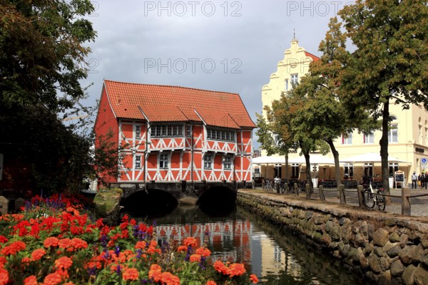 Vaulted, heritage-protected half-timbered house in Runde Grube 4 in the Hanseatic City of Wismar, Northwest Mecklenburg District, Mecklenburg-Western Pomerania, Germany