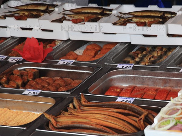 Display, refrigerated counter in a fish shop in Wismar on the Baltic Sea, Mecklenburg-Western Pomerania, Germany