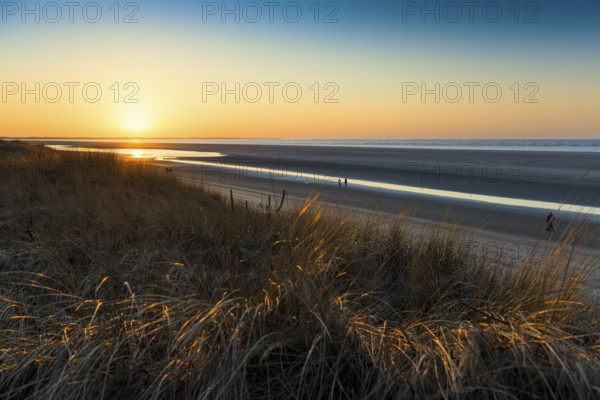 Dunes and blue sky in winter, sunset, Spiekeroog, East Frisian Islands, Lower Saxony, Germany