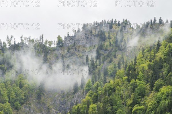 View into the mountains next to Lake Offensee on a rainy day in spring, Salzkammergut, Austria, Europe, Salzkammergut, Austria, Europe