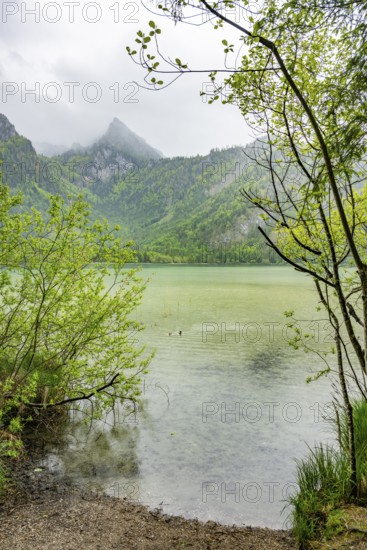 Landscape of Lake Offensee on a rainy day in spring, Salzkammergut, Austria