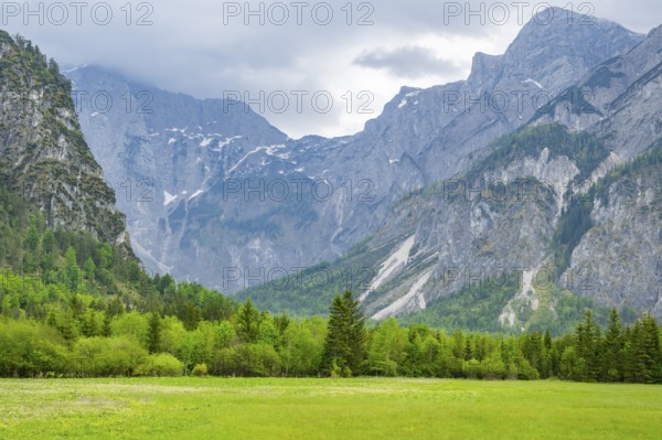 Spring meadow with the Alps in the background on a rainy day, Traunkirchen, Salzkammergut, Austria
